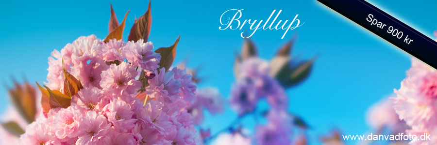 Bryllupsfotograf som både laver film og fotos