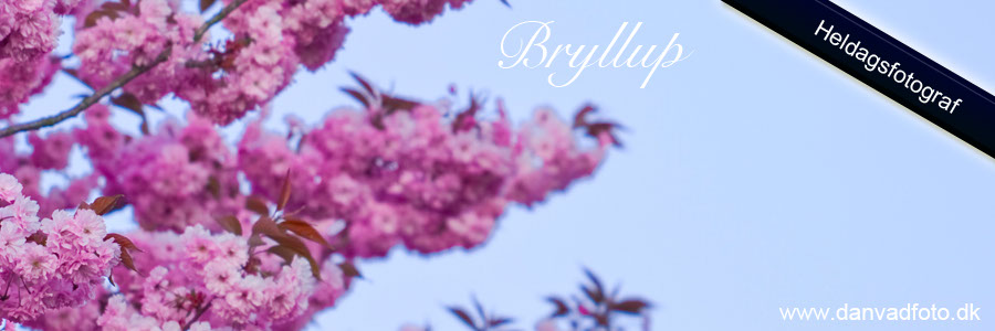 Bryllupsfotograf Pris. Bryllupsfotograf som både laver film og fotos